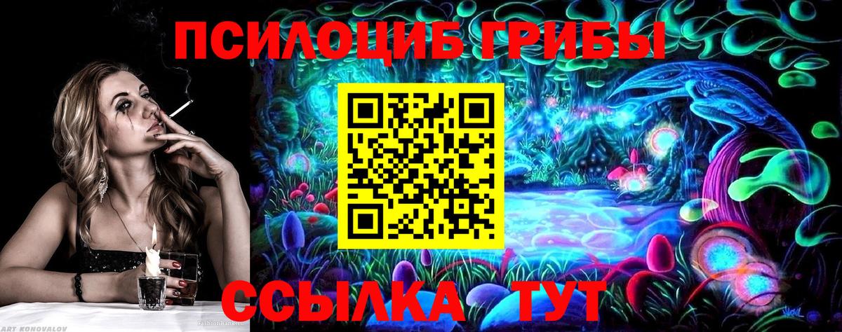 Псилоцибиновые грибы MAGIC MUSHROOMS  где купить наркотик  Вход с VPN  Магнитогорск  Псилоцибиновые грибы прущие грибы 